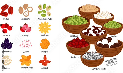 Colorful Nuts Seeds and Berries Collection Set with Macadamia Pistachio Almond Sunflower Cranberry and Bowl for Food Design