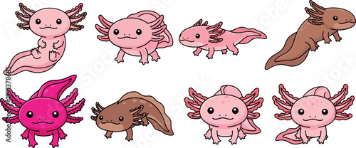 Axolotl character collection in various poses and colors, cute aquatic amphibian cartoon set vector illustration isolated
