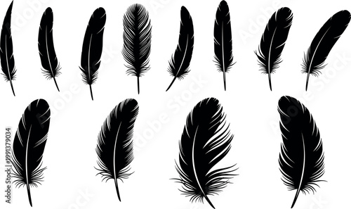 Black feather silhouettes collection with detailed bird plumage shapes, elegant decorative elements vector illustration set isolated