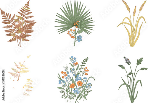 Botanical plant collection with fern leaves, wildflowers, grasses and foliage elements in soft natural vector illustration set