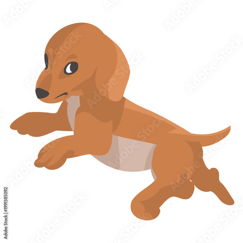 Triggered Brown Dachshund Puppy cute