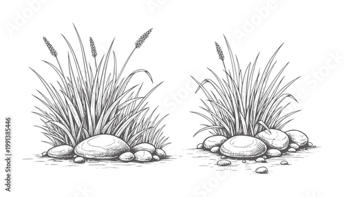 Two ink of grass clumps with stones reeds rocks pebbles