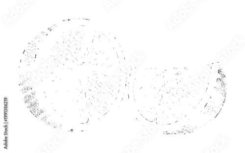 Two slices of citrus fruit with textured pulp and rind