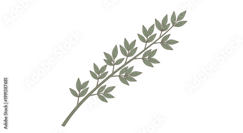 Photos A single green leafy plant branch.