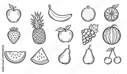 Fruit doodle vector set hand drawn outline sketch popular fruits illustration