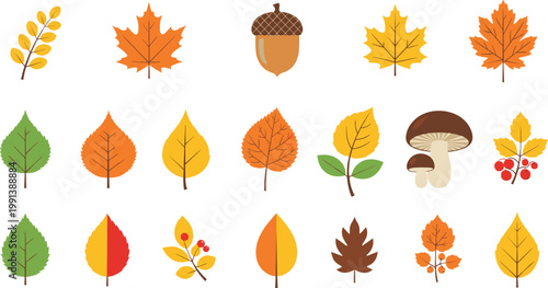 Autumn Leaf and Nature Set Featuring Maple Leaves Acorns Mushrooms and Forest Berries in Fall Colors for Seasonal Decor Thanksgiving Marketing and Nature Design