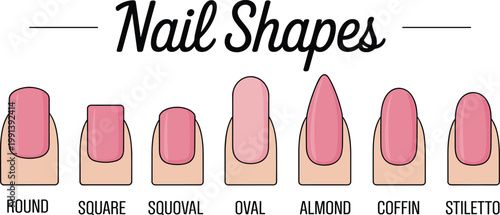Professional nail shapes guide vector illustration featuring round square squoval oval almond coffin and stiletto styles for manicure salons beauty clinics and fashion education posters
