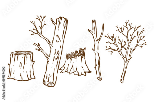 Set of wood illustration. vector lumber and Cuts, Firewood in hand drawn line sketch vintage style, Pieces of Tree, Campfire material, design isolated on white background
