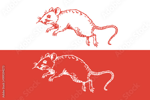 Vintage illustration of rat in engraving hand drawn line sketch style. Vector mouse animal with textured detailed linework, positive and negative color variations logo design template