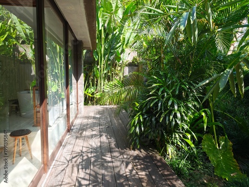 tropical garden in thailand