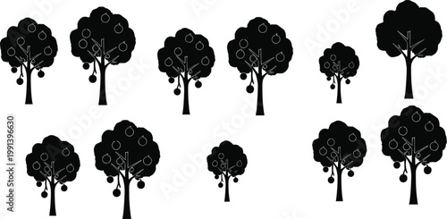 Fruit tree silhouette vector set with apple trees isolated black shapes collection for design and icons