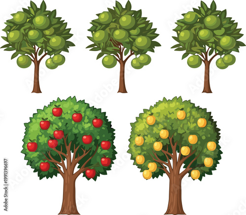 Fruit trees collection vector illustration with apple lemon and green fruit trees isolated in detailed cartoon style