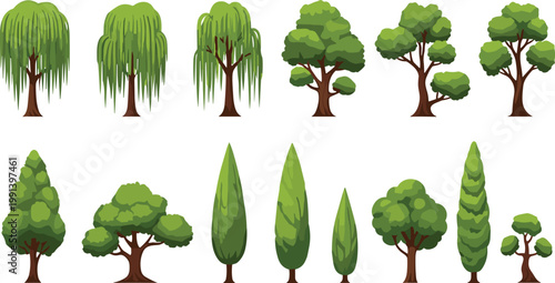 Various tree types set with willow pine and decorative garden trees illustration collection