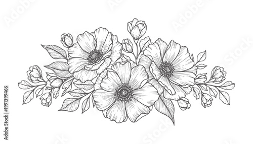 Hand drawn floral arrangement of anemone flowers and leaves bloom blossom