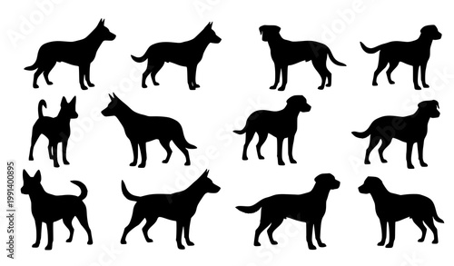 Black silhouettes of various dog breeds in different poses