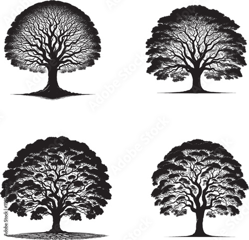 Four intricate black and white tree silhouettes showcasing a variety of detailed arboreal forms perfect for nature-themed design projects.