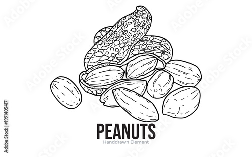 A hand-drawn black and white illustration of peanuts, showing both shelled and unshelled nuts, with the word "PEANUTS" below.