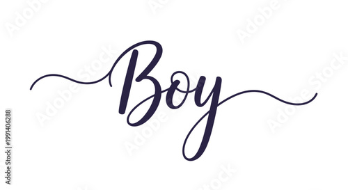 Elegant cursive text reading boy in a dark navy blue color with decorative swirls on each side on a clean white background.