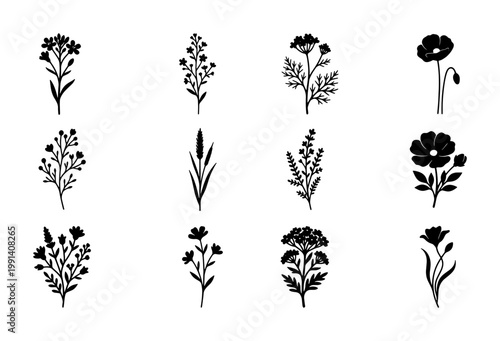 Minimalist black floral silhouettes, set of 12 botanical wildflower icons, hand drawn meadow plant vectors for wedding invitations and logo design