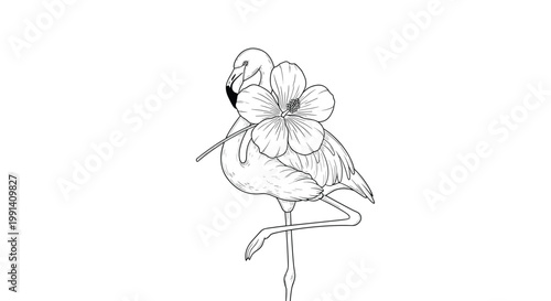 Elegant line art drawing of a flamingo bird holding a large hibiscus flower in its beak isolated on white.