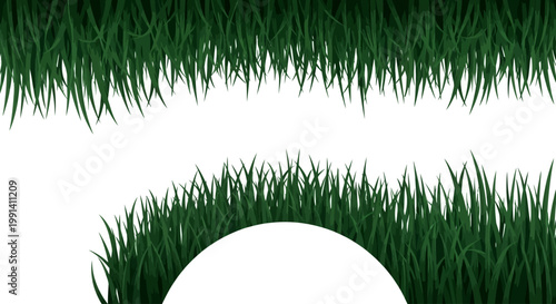 Green grass blades on white background.