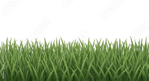 Green grass blades close up view.