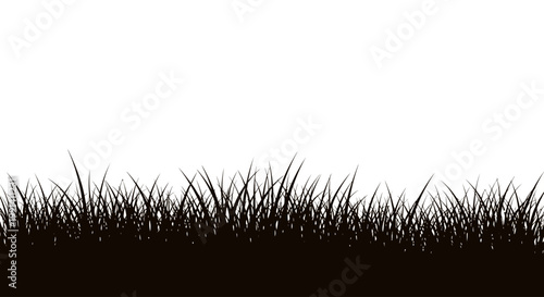 Black silhouette of grass blades.