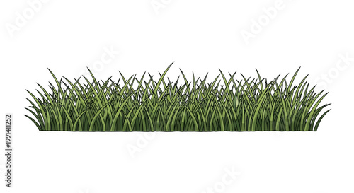 Green grass blades closeup view.