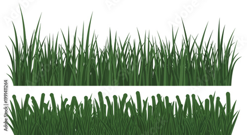 Green grass blades isolated on white.