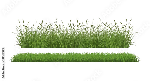 Green grass blades and foliage.