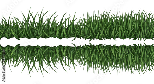 Green grass blades close up view.