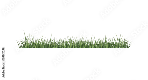 Green grass blades natural lawn texture.