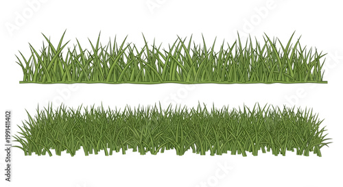 Green grass blades isolated on white.