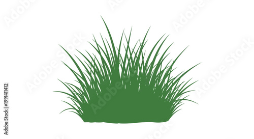 Green grass clump isolated on white.
