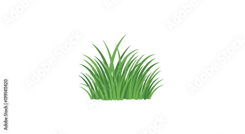 Green grass blades growing naturally outdoors.