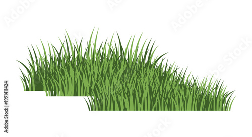 Green grass blades isolated on white.