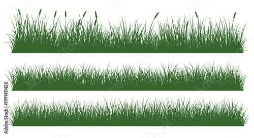 Green grass blades strips isolated.