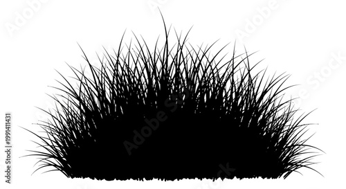 False eyelashes for makeup application.