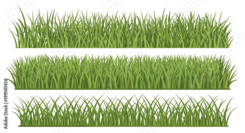 Green grass blades in rows.