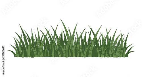 Green grass blades growing naturally outdoors.