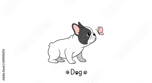 Small black and white french bulldog is looking up at a pink butterfly with the word dog and paw prints below it.