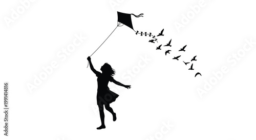 Silhouette of a person flying a kite with birds in the sky