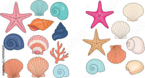 Colorful Sea Shells and Starfish Collection with Coral Snail Scallop and Spiral Shells Beach Ocean Theme Isolated Vector Illustration Set