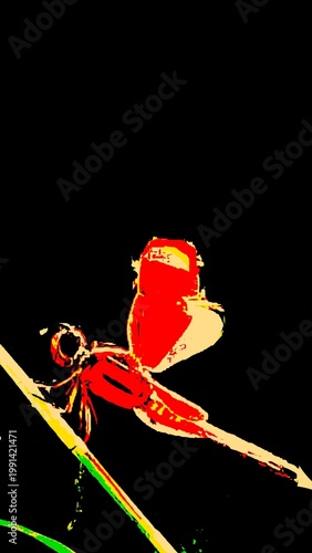 Vibrant neon red dragonfly perched on plant stem isolated on black background, high-contrast pop art posterized effect, bold graphic insect, colorful abstract nature, wildlife artwork.