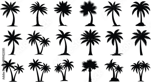 Palm tree silhouettes vector.