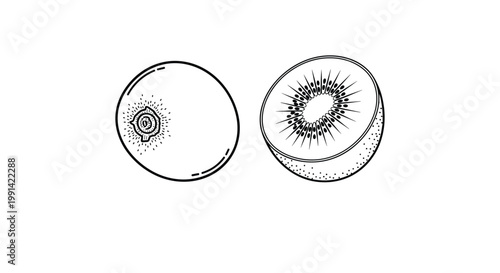 Black and white line art drawing showing a whole kiwi fruit and a half kiwi fruit with detailed seed and pulp textures.