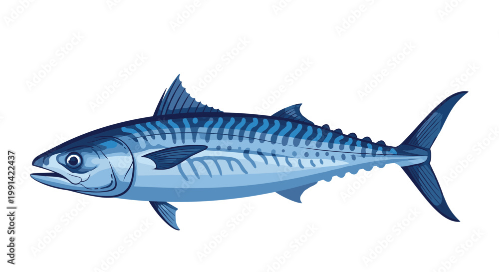 Fototapeta premium Colorful and detailed illustration of a mackerel fish showing its distinctive striped pattern and sleek body.