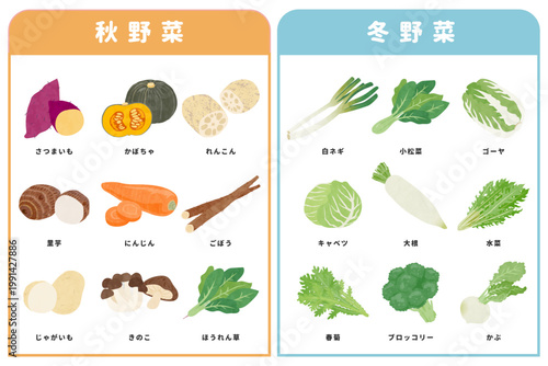 色々な秋野菜と冬野菜のイラストセット　
