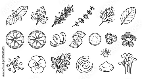 Outline herb and citrus vector set with leaves, rosemary, lemon slices, berries and spices for menu design, food packaging, recipe graphics and botanical decoration