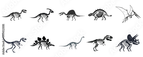 Dinosaur Fossil Skeleton Set Prehistoric Bones Collection Jurassic Reptile Anatomy Vector Illustration Black Silhouette Isolated Design Pack
